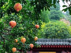 -西安华清御汤酒店