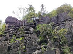 -梭布垭石林景区