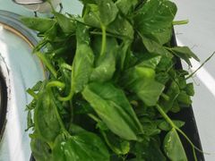 豌豆苗-名善山珍·野生菌汤锅(文殊院店)