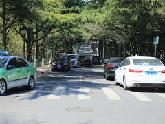 -八大关景区