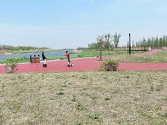 -春花秋色城市公园