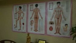 -养月堂中医养生月子会所(中心妇产店)