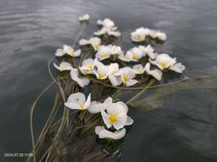 -丽江泸沽湖景区