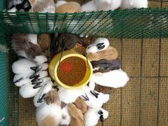 -兴芮温泉度假区