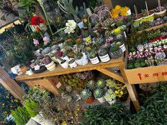 -双季花艺园艺市场(浦东店)