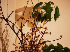 -悦哉·派对·草坪婚礼·围炉煮茶(三圣乡店)