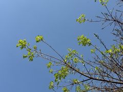 -姚记.周礼伤心凉粉(时代广场店)