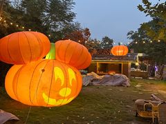 -HERRE·FARM 赫尔露营农场·团建聚会包场