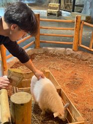 -Zoolung Zoolung动物主题公园(海信广场店)