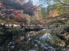 -秋霞圃
