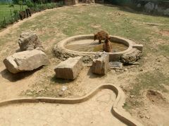 -无锡动物园·太湖欢乐园