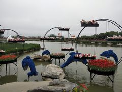 -荷兰花海