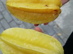 -同心泥烩鸡