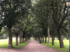 -维格兰雕塑公园
