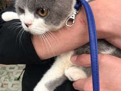 -酷狗靓猫宠物·洗护·美容·寄养(航北路店)
