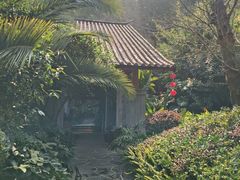 -腾冲洞山温泉村