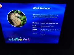 -沈阳海洋探索中心