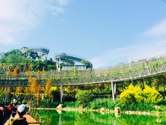 -梅峰山地公园