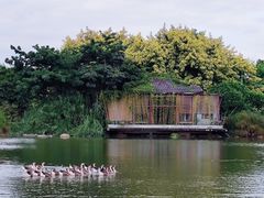-海珠湖公园