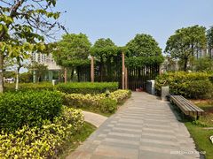 -南方医科大学深圳医院