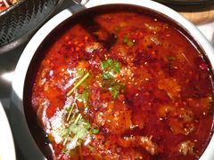 -雀蓝川菜(奥体广场店)