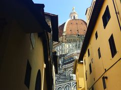 -圣母百花大教堂穹顶