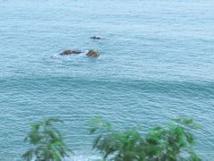 -玫瑰海岸文化旅游度假区