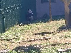 -沈阳森林动物园