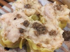 -新兴·金羊座·粤菜点心(乐峰店)