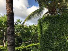 -三亚湾海居铂尔曼度假酒店