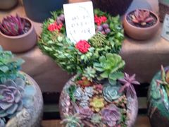 -昆山国际会展中心-开发区羽毛球馆