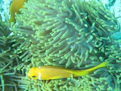 -中央格兰德岛温泉度假酒店 - 全包