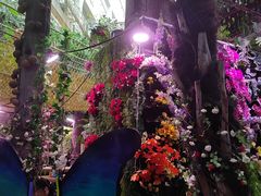 -正佳雨林生态植物园