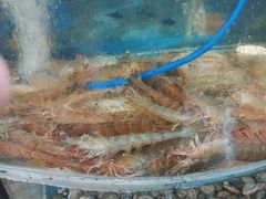 -鑫渔港海鲜本地菜·山海关浑锅(东戴河店)