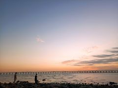 -宝安西湾红树林湿地公园