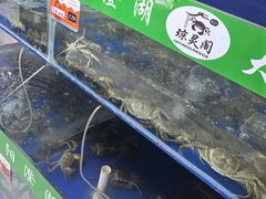 -阳澄湖大闸蟹·琼灵阁牌品牌连锁(吴中总店)