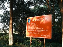 -昆山城市生态森林公园