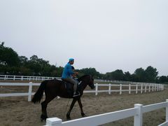-杭州湾海上花田景区