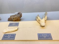 -重庆中国三峡博物馆(重庆博物馆)