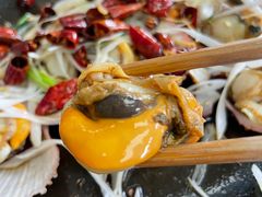 -鲁前海沿儿