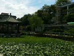 android_upload_pic-黄埔古港