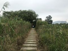 -长兴太湖图影湿地文化园