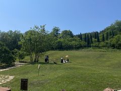 -棒棰岛宾馆景区