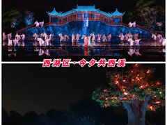 -印象西湖·最忆是杭州实景演出