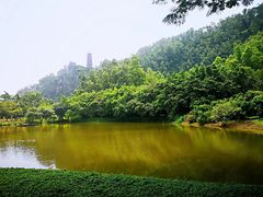 -南沙天后宫景区