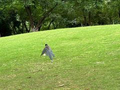 -盘龙城遗址博物院