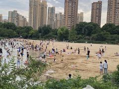 -青枫公园