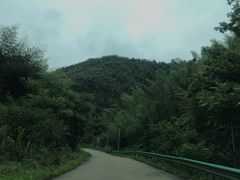 -合肥生态公园