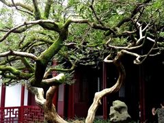 -水绘园