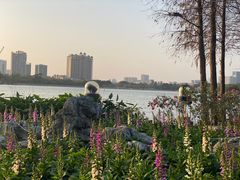 -顺峰山公园